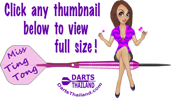 33_darts_photo_gallery_miss_ting_tong_cartoon_johnny_witkowski