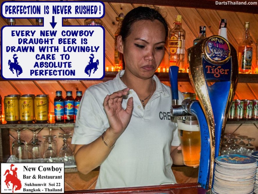 why-darts-2013-new-cowboy-bar (79)